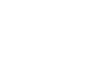 Cổng nạp W88