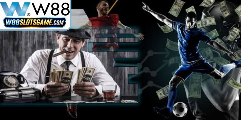 Chi tiết cách tính hoa hồng cho đại lý W88
